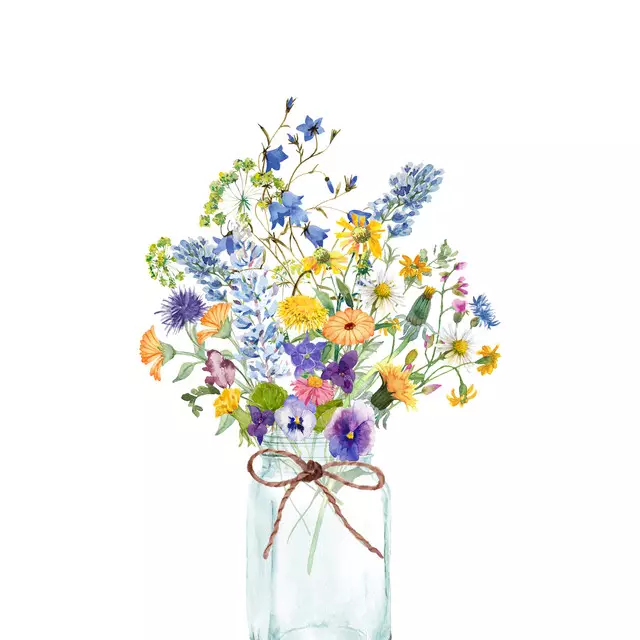 Sommer Wildblumen