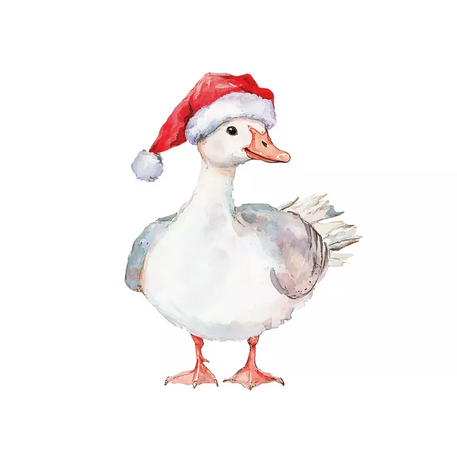 Kissen Weihnachtsmann Gans