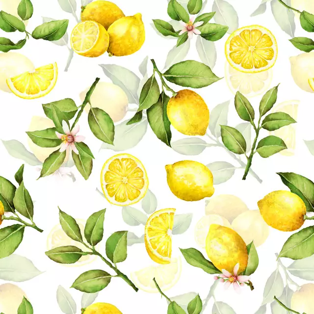 Kissen Zitronen Limonade 2