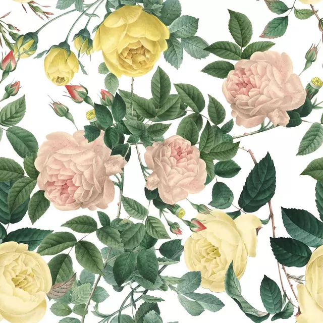 Kissen Redouté Rosen