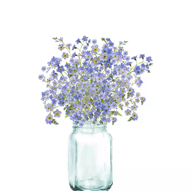 Kissen Vergissmeinnicht Vase