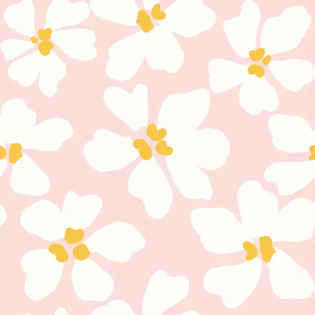 Kissen Gänseblümchen Modern Rosa 3