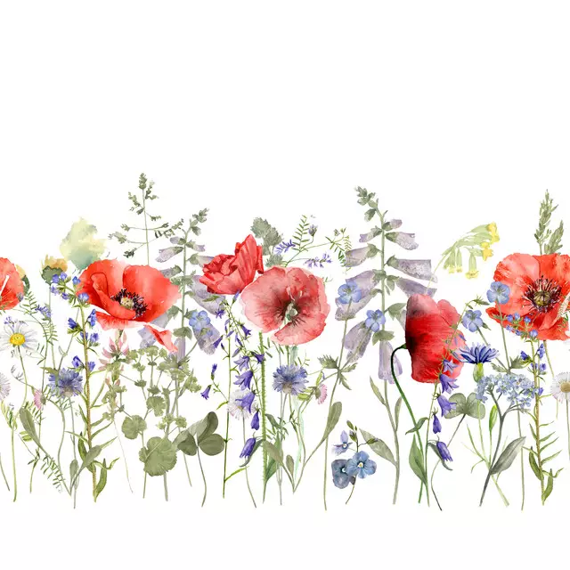 Blumenwiese