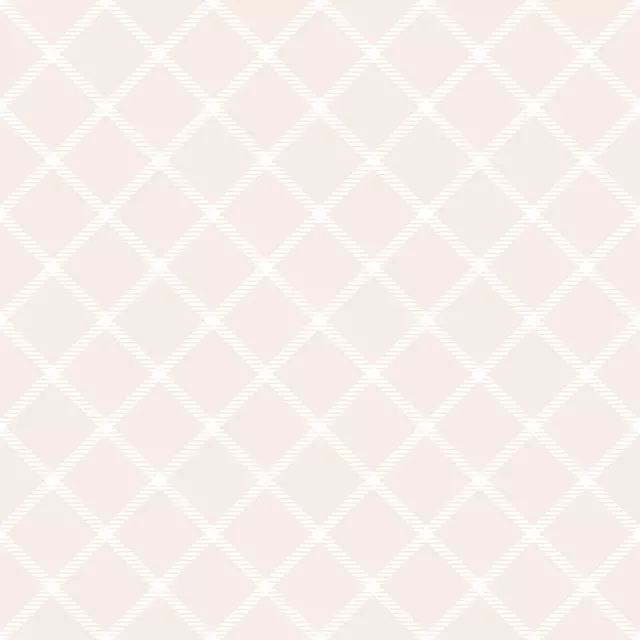 Kissen Blush Sommer Karo