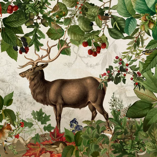 Kissen König des Waldes 1
