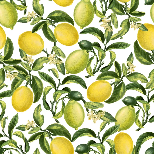 Zitronen Limonade 6