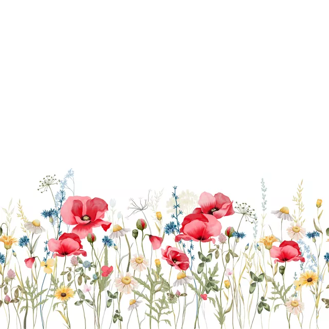Geschirrtücher Mohn und Kornblumen Feld