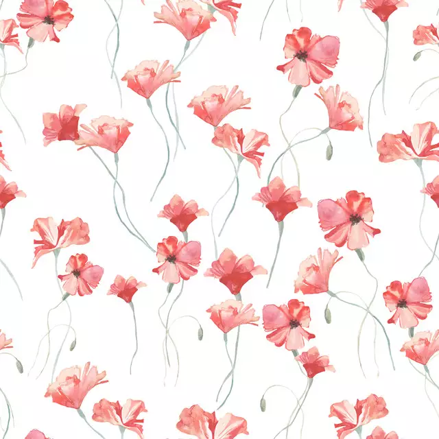 Tanzender Mohn