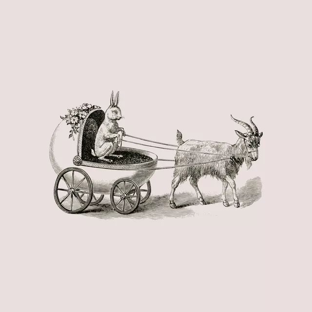 Geschirrtücher Osterhase auf Tour