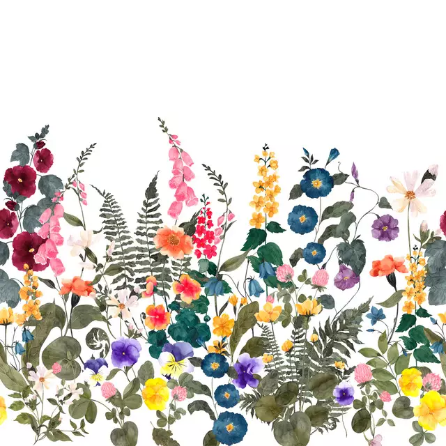 Wilde Blumenwiese