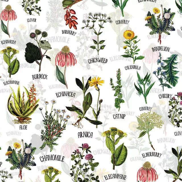 Vintage Wildblumen und Kräuter