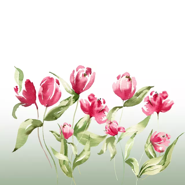 Tulpen Wiese
