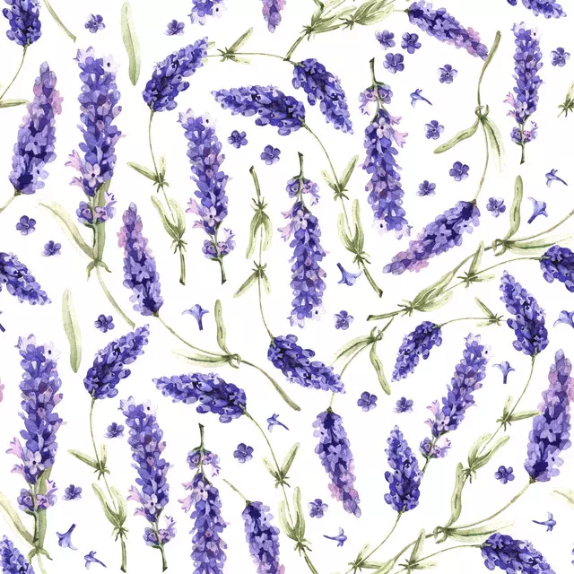 Sitzkissen Lavendel Wildblumen Feld