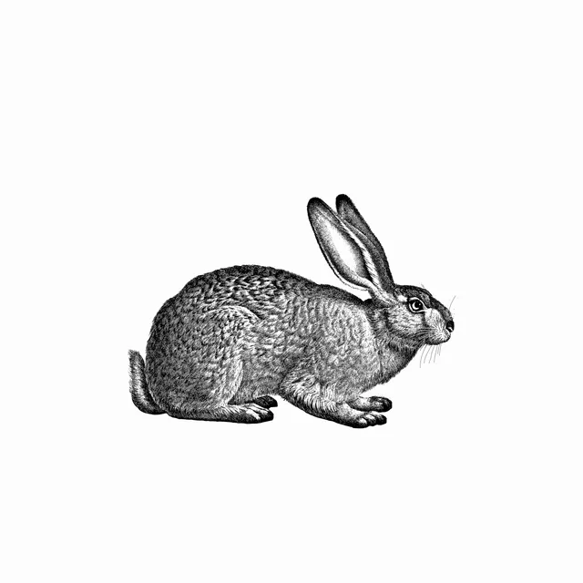 Vintage Osterhase 1