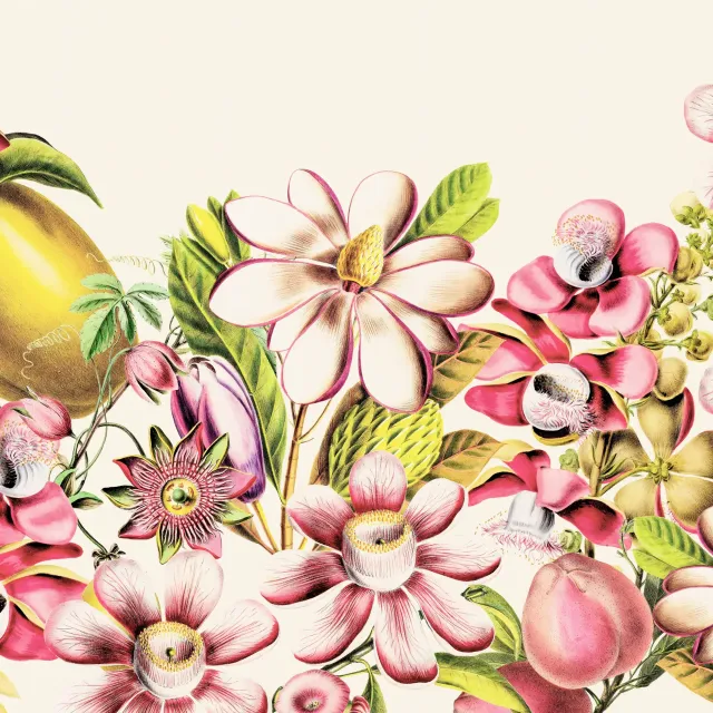 Kissen Tropische Blüten und Früchte