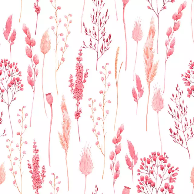 Pink Farbene Gräser