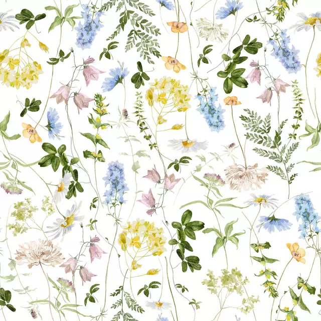 Wilde Blumen Wiese