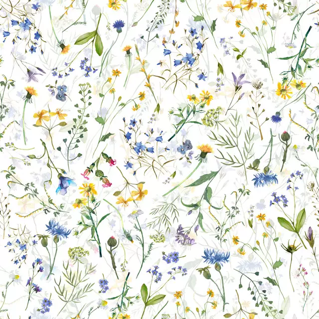 Wildkräuter und Blumen