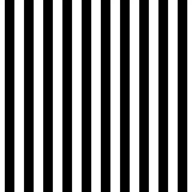 Sitzkissen Stripes Coco | schwarz