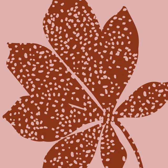 Kissen orange rosa