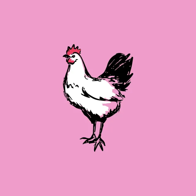 Kissen Huhn