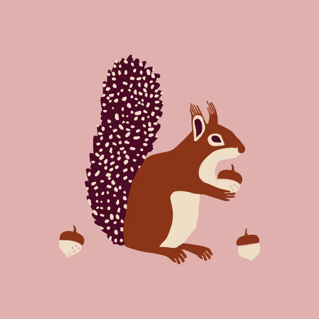 Kissen Eichhörnchen
