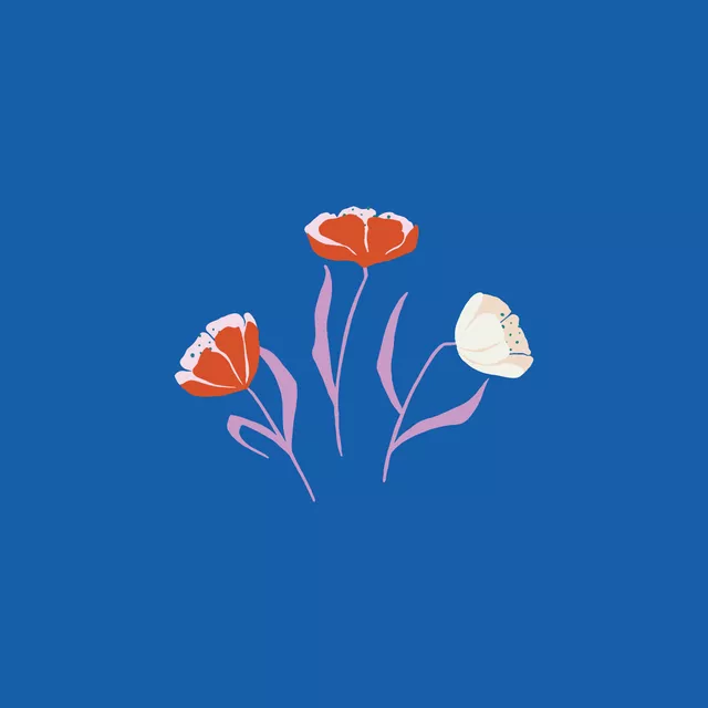 Tulpen Print