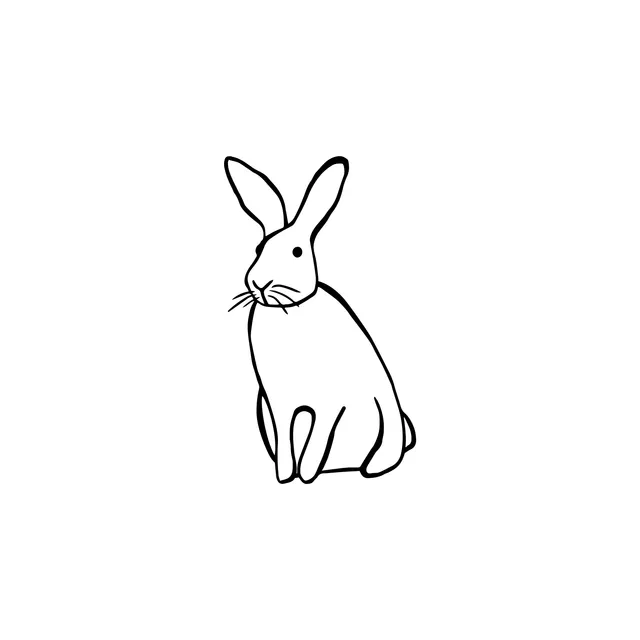 Kissen Bunny | "Roger"