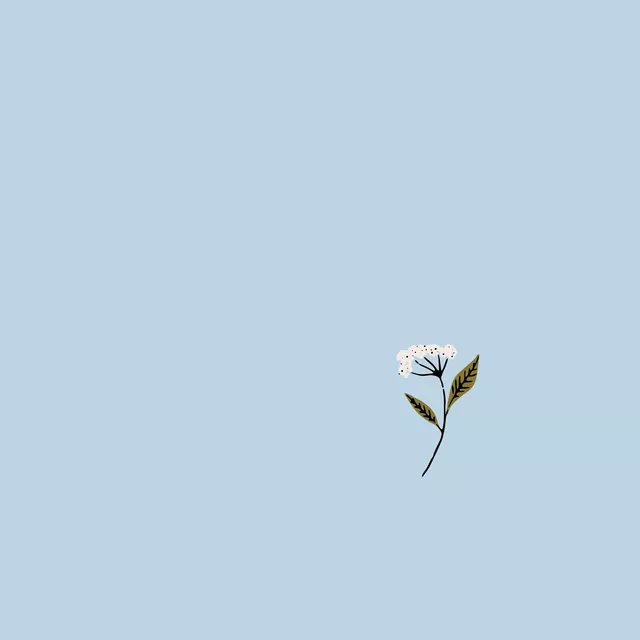 Kissen Frühlingsblume 1