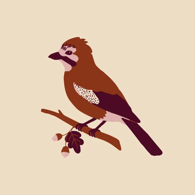 Kissen Eichelhäher Vogel