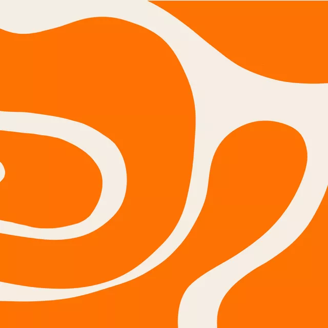 Geschirrtücher High-Five Orange Beige