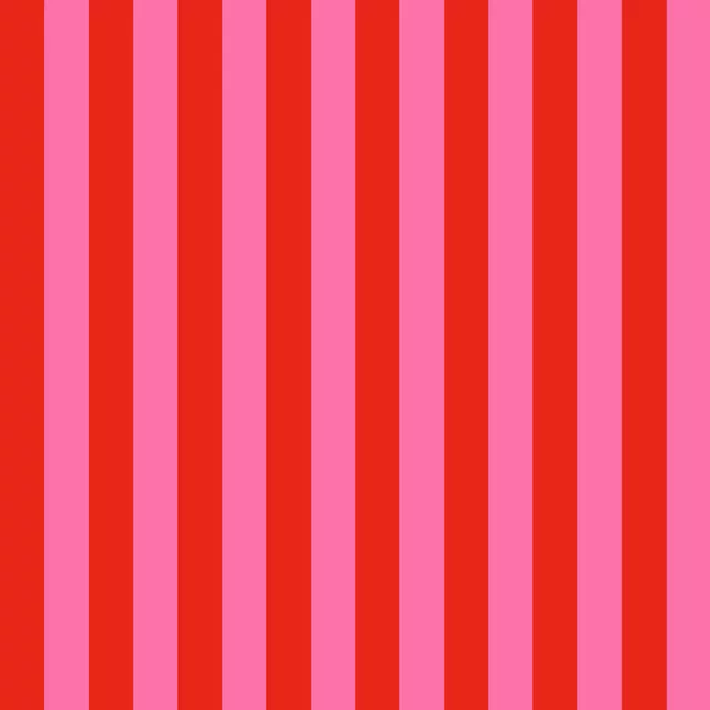 Kissen Stripes Red Pink