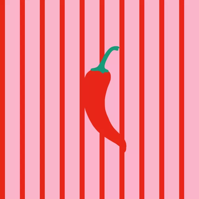 Kissen Chilli Stripes Red