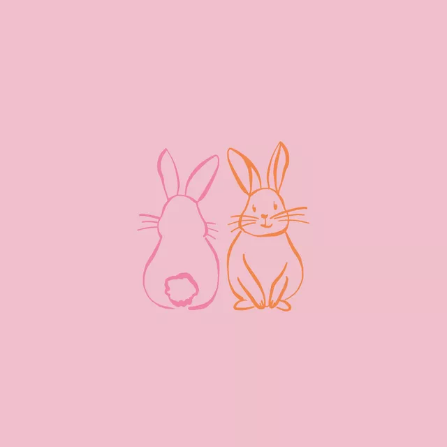 Kissen Happy Bunnys pink