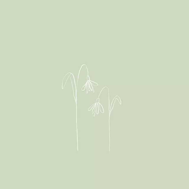 SNOWDROPS GREEN