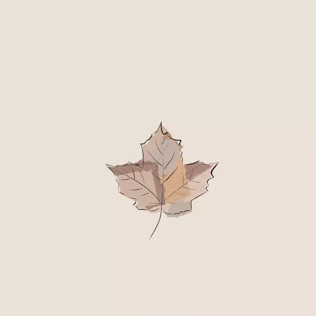 Bettwäsche AUTUMN PAPERLEAF