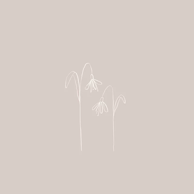 Tischset Snowdrops