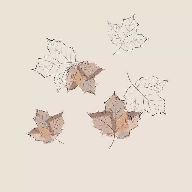 Kissen LEAVES