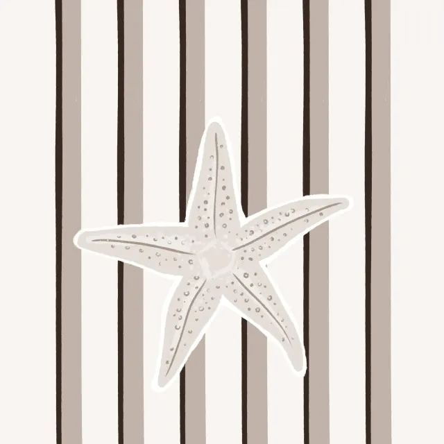 Kissen Seestern beige
