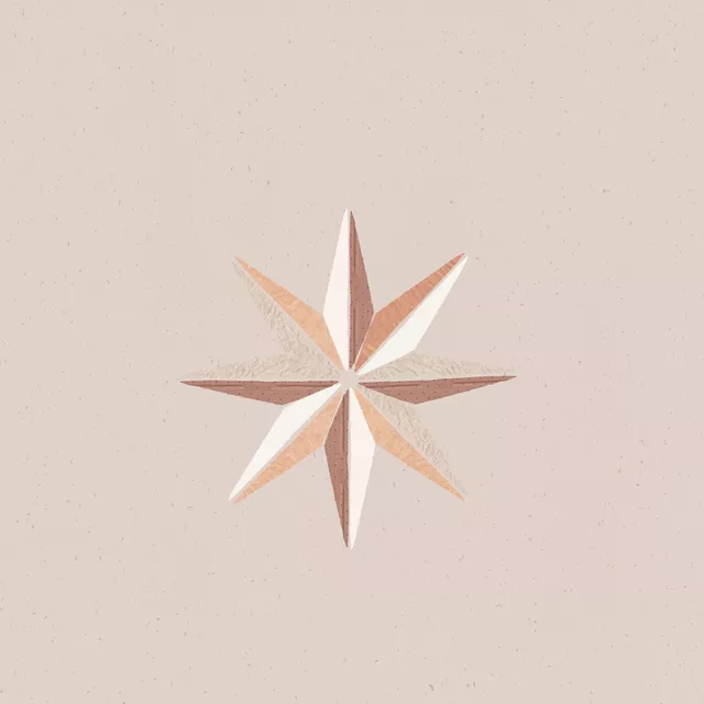 Servietten Paperstar Papercut