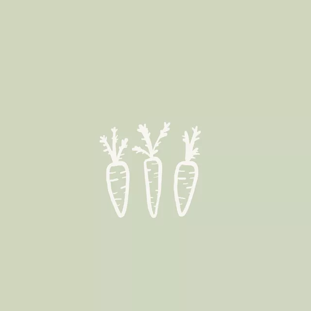 Kissen Happy Carrots grün