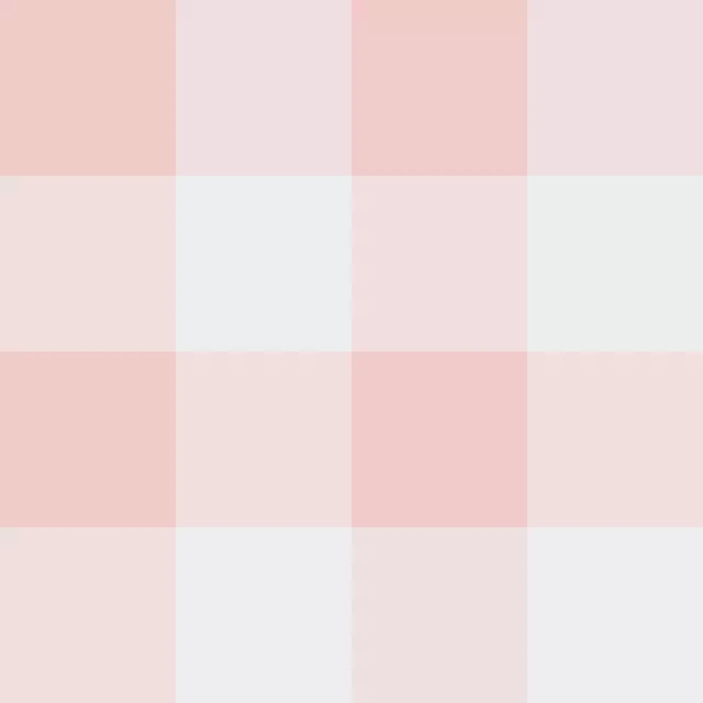 Small rosa Gingham