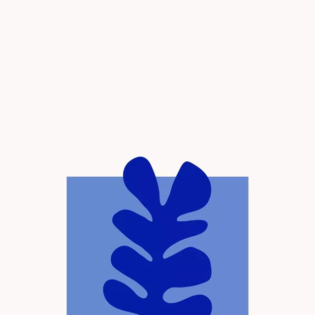 Geschirrtücher Seaweed
