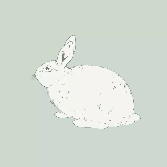Kissen Hase lines milky green