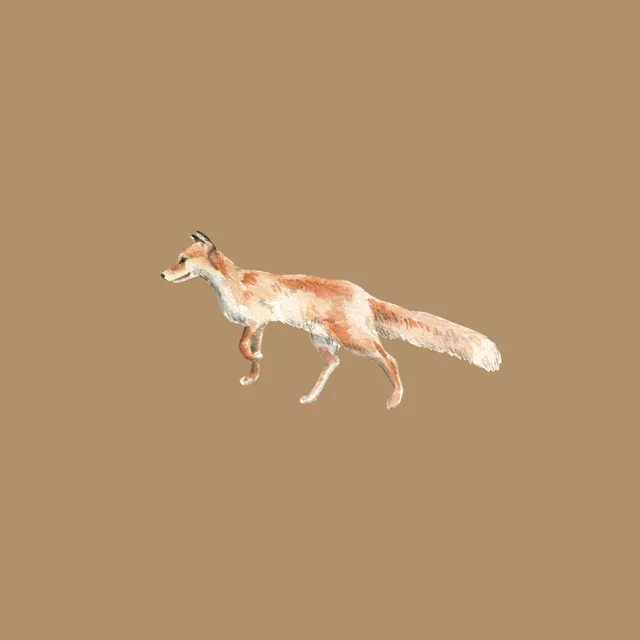 Servietten Fuchs icedcoffee