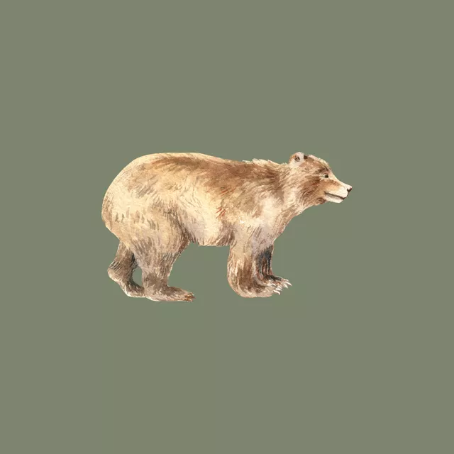 Bodenkissen Bär oilgreen