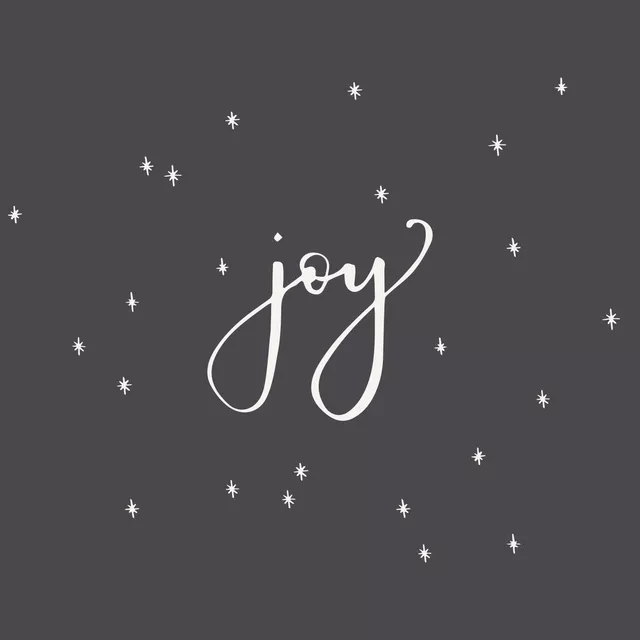 Servietten joy dunkelgrau