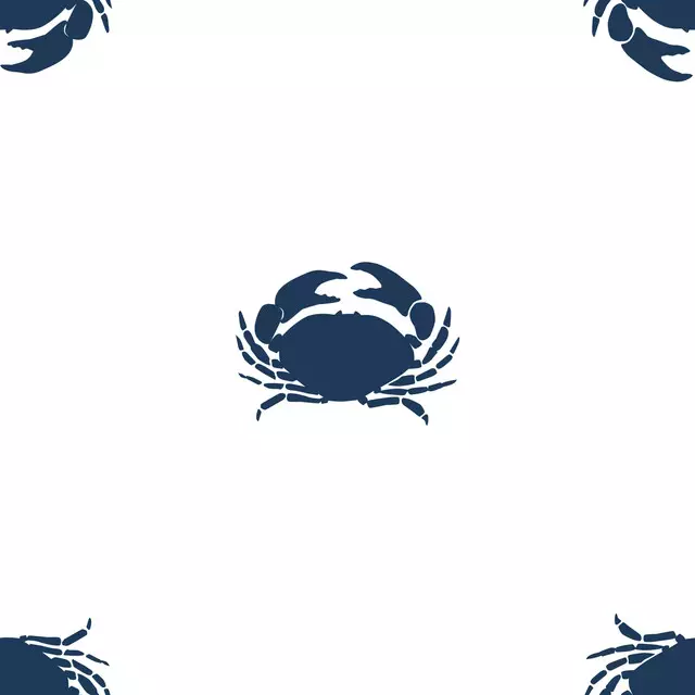 Krabben white navy