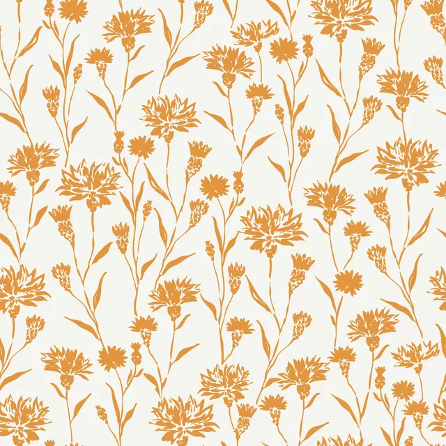 Kornblumen orange