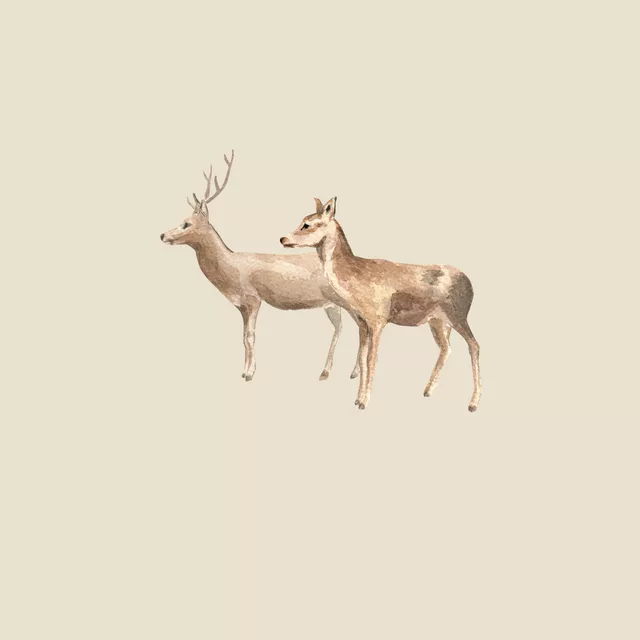 Rehe beige